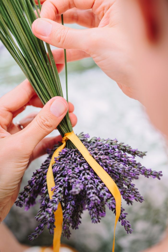 Lorette-glasson-HD-Export HD-578 (5) Atelier Fuseau de lavande – Image 1